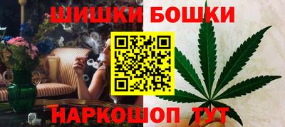 крисы Братск