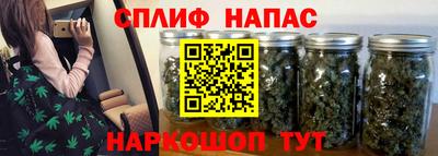 крисы Братск