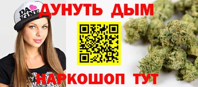 гашик Брянск