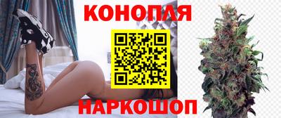 крисы Братск